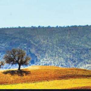 دانلود رایگان بولتن منابع‌طبیعی در رسانه‌ها