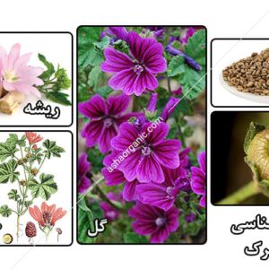 دانلود کتاب گیاهان دارویی – صنعتی (پنیرک)