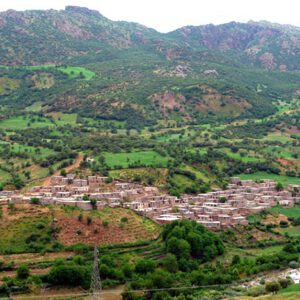 رییس سازمان منابع طبیعی در کنگره بین المللی اکولوژی نوسکی در روسیه:مشکلات زیست محیطی امروز جهان ناشی از تخریب جنگل هاست