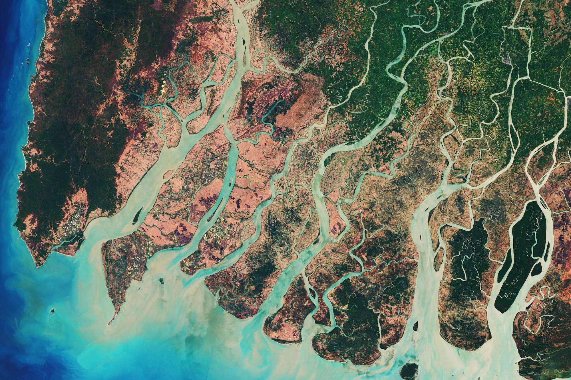 Fractal River Delta