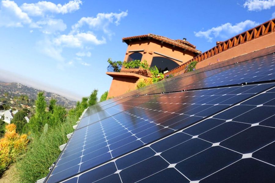 solar panels monocrystalline array with lush view c 1030x687 1