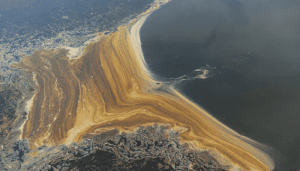 مطالعه نشت نفت Deepwater Horizon می تواند منجر به بازنگری اساسی در فرآیندهای پاکسازی در سراسر جهان شود
